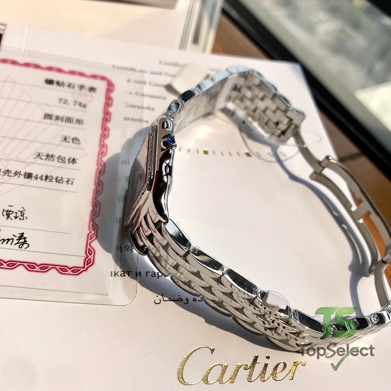 Cartier Panthère de Cartier W4PN0008 Medium - 5