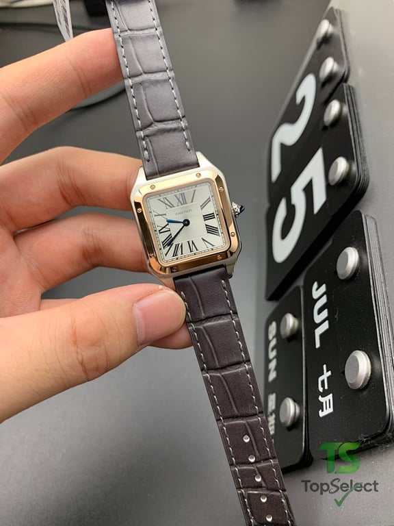 Cartier Santos Dumont Two-Tone Leather Strap - 4