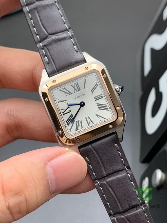 Cartier Santos Dumont Two-Tone Leather Strap - 5