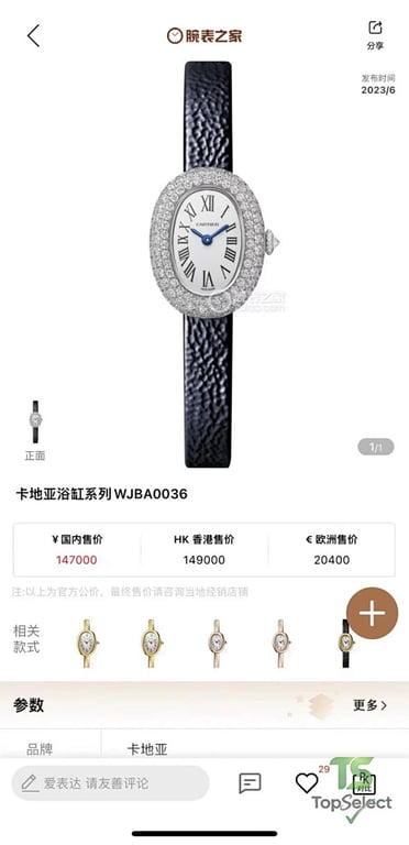 Cartier Baignoire WJBA0036 Moissanite Diamond Watch - 2