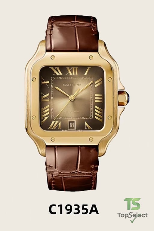 Cartier Santos de Cartier Watch - 2