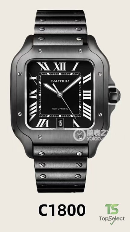 Cartier Santos de Cartier Watch - 3