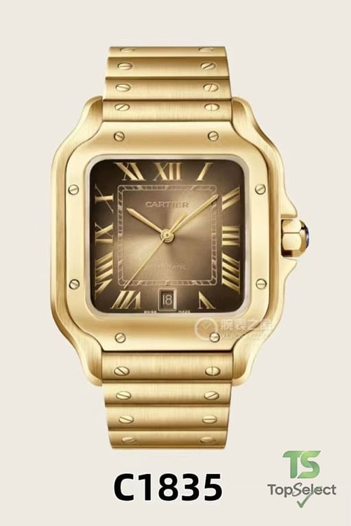 Cartier Santos de Cartier Watch - 4