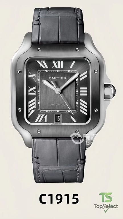 Cartier Santos de Cartier Watch - 5
