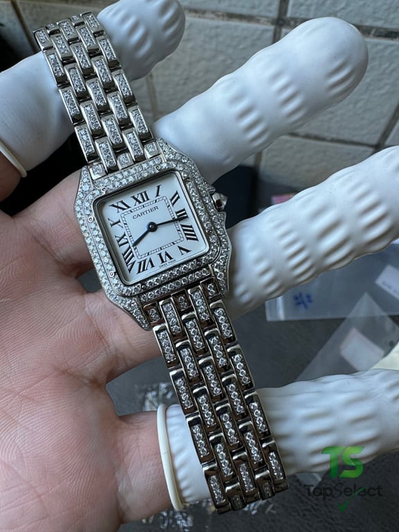 Cartier Panthère de Cartier Diamond Watch - 2