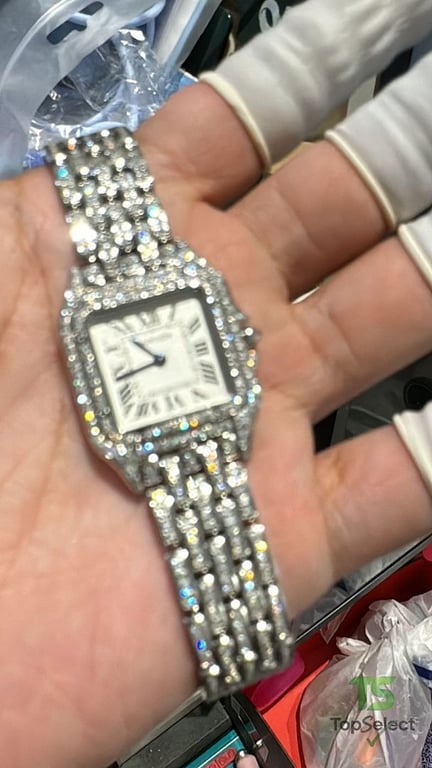 Cartier Panthère de Cartier Iced Out Silver - 5
