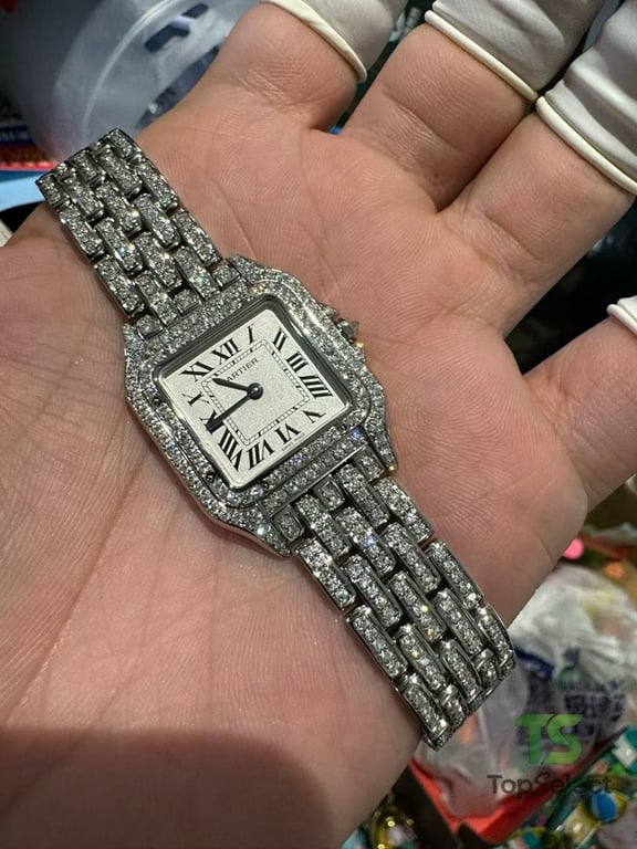Cartier Panthère de Cartier Iced Out Silver - 7