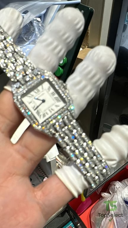 Cartier Panthère de Cartier Iced Out Silver - 8