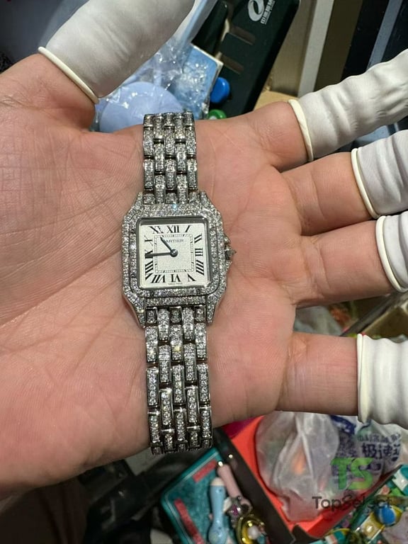 Cartier Panthère de Cartier Iced Out Silver - 9