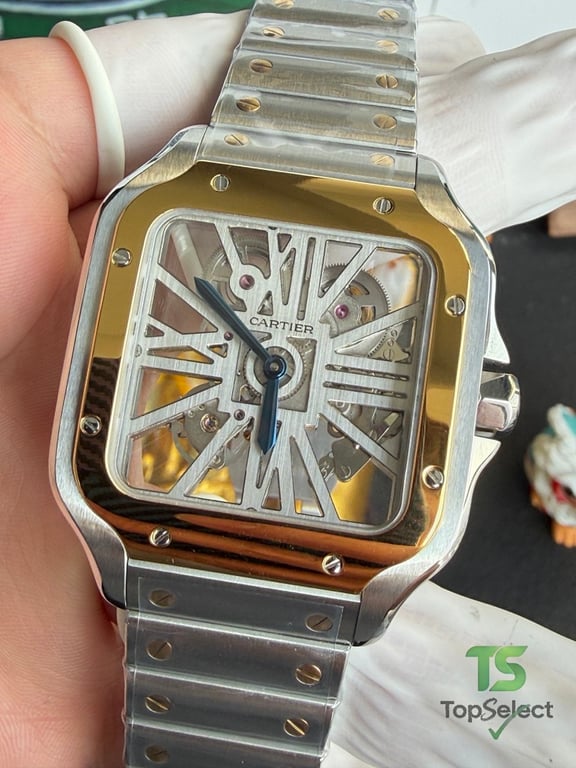 Cartier Santos de Cartier Skeleton Two-Tone - 19