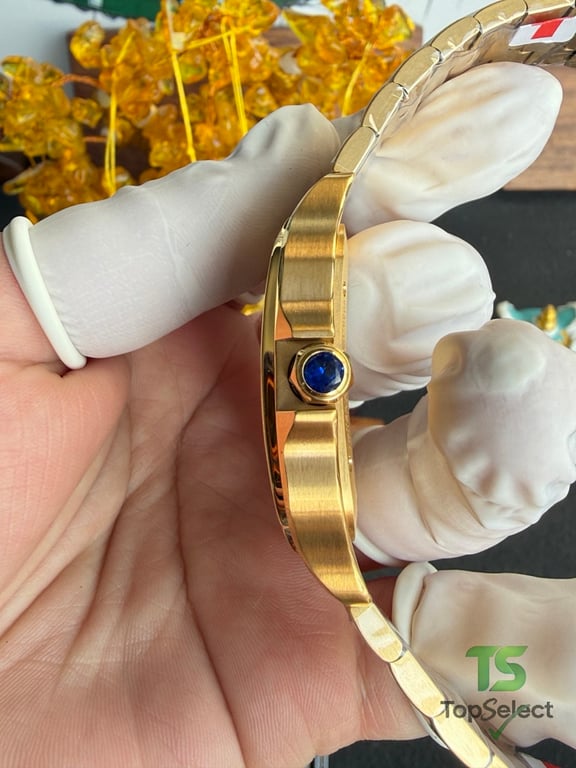 Cartier Santos de Cartier Skeleton Gold - 15