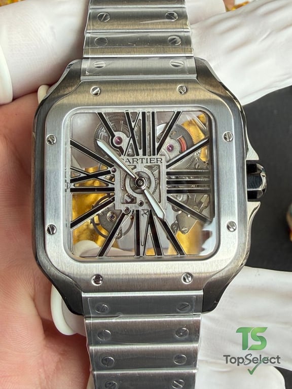 Cartier Santos de Cartier Skeleton Watch - 17