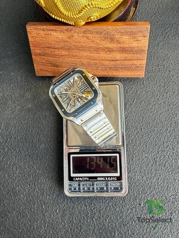 Cartier Santos de Cartier Skeleton WHSA0015 - 16
