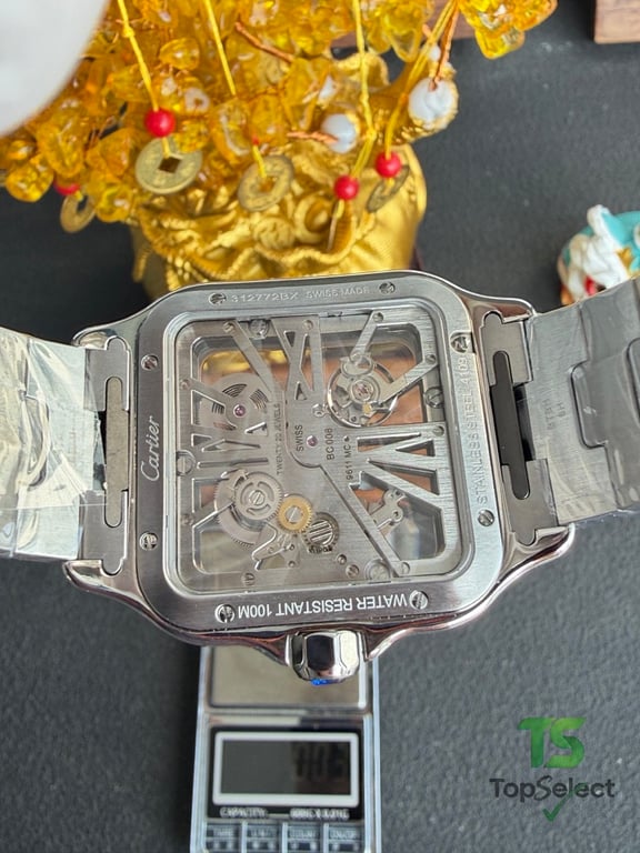 Cartier Santos de Cartier Skeleton WHSA0015 - 18