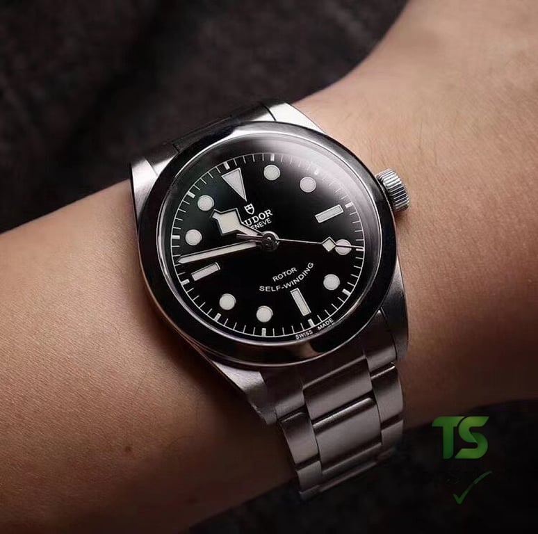Tudor Black Bay 36 Steel - 9