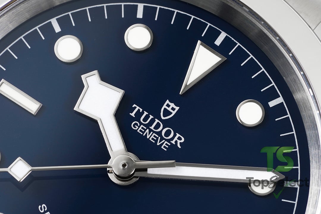 Tudor Black Bay 41 Blue Dial M79540 - 2