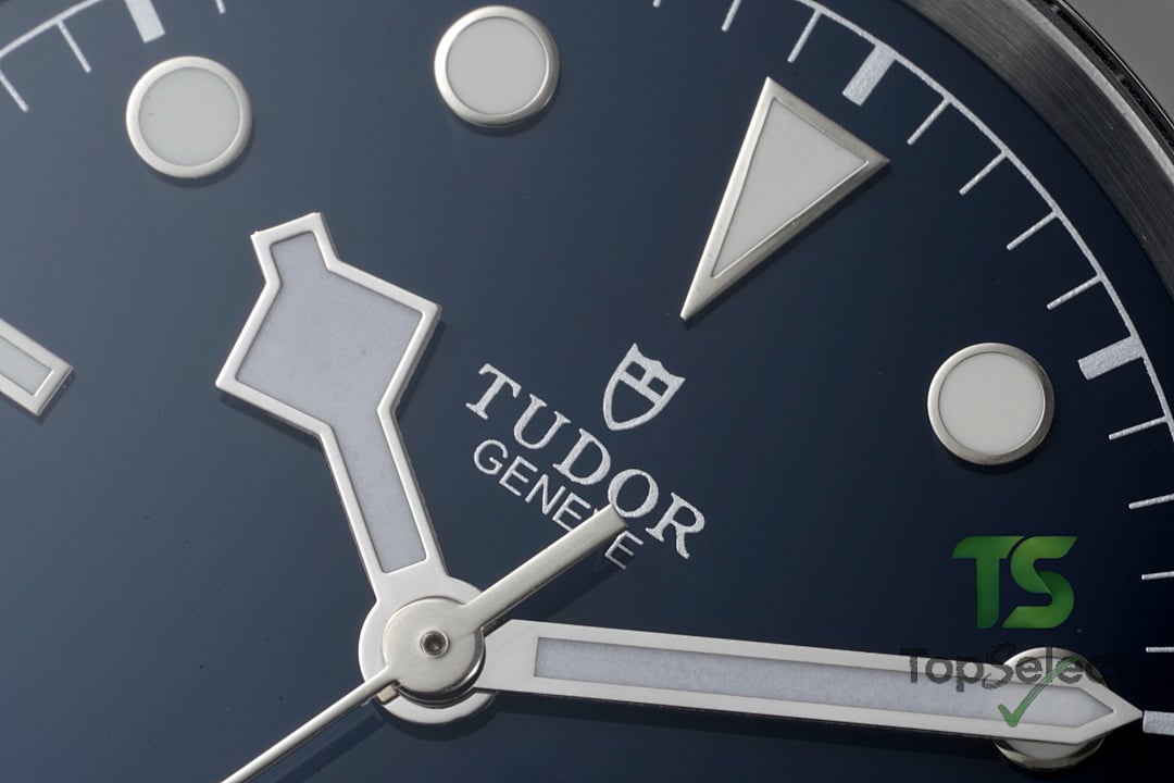 Tudor Black Bay 41 M79540 Blue Dial Leather Strap - 5