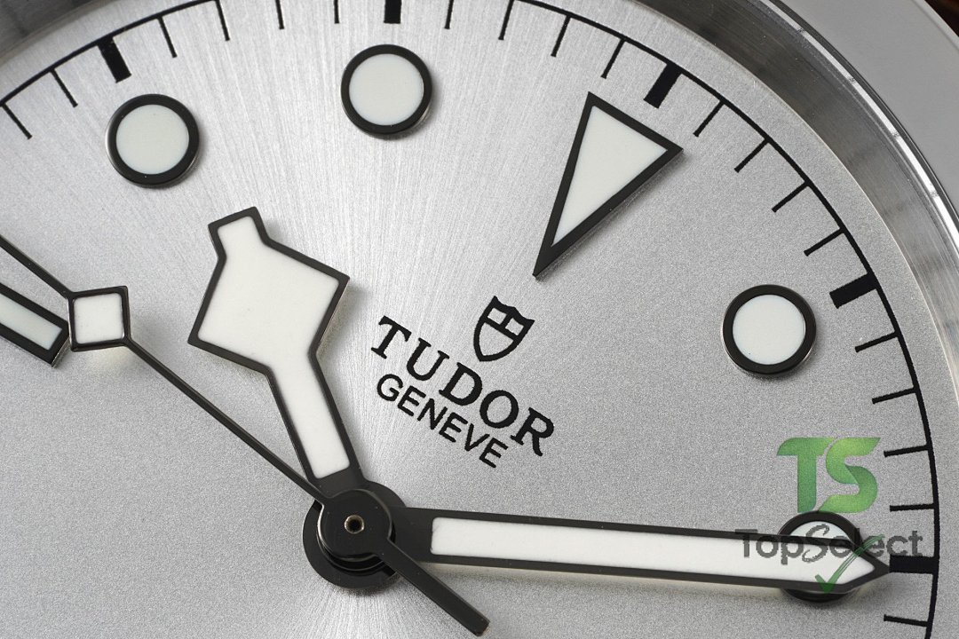 Tudor Black Bay 41 M79540 Silver Dial Leather Strap - 4