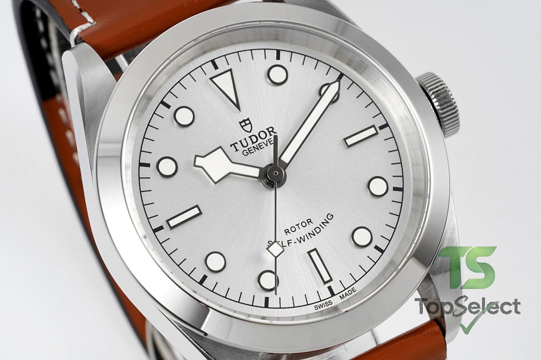 Tudor Black Bay 41 M79540 Silver Dial Leather Strap - 5
