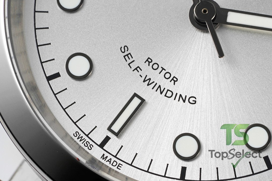 Tudor Black Bay 41 M79540 Silver Dial Leather Strap - 7