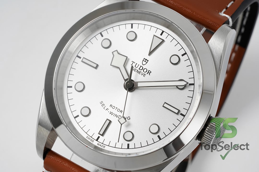 Tudor Black Bay 41 M79540 Silver Dial Leather Strap - 9