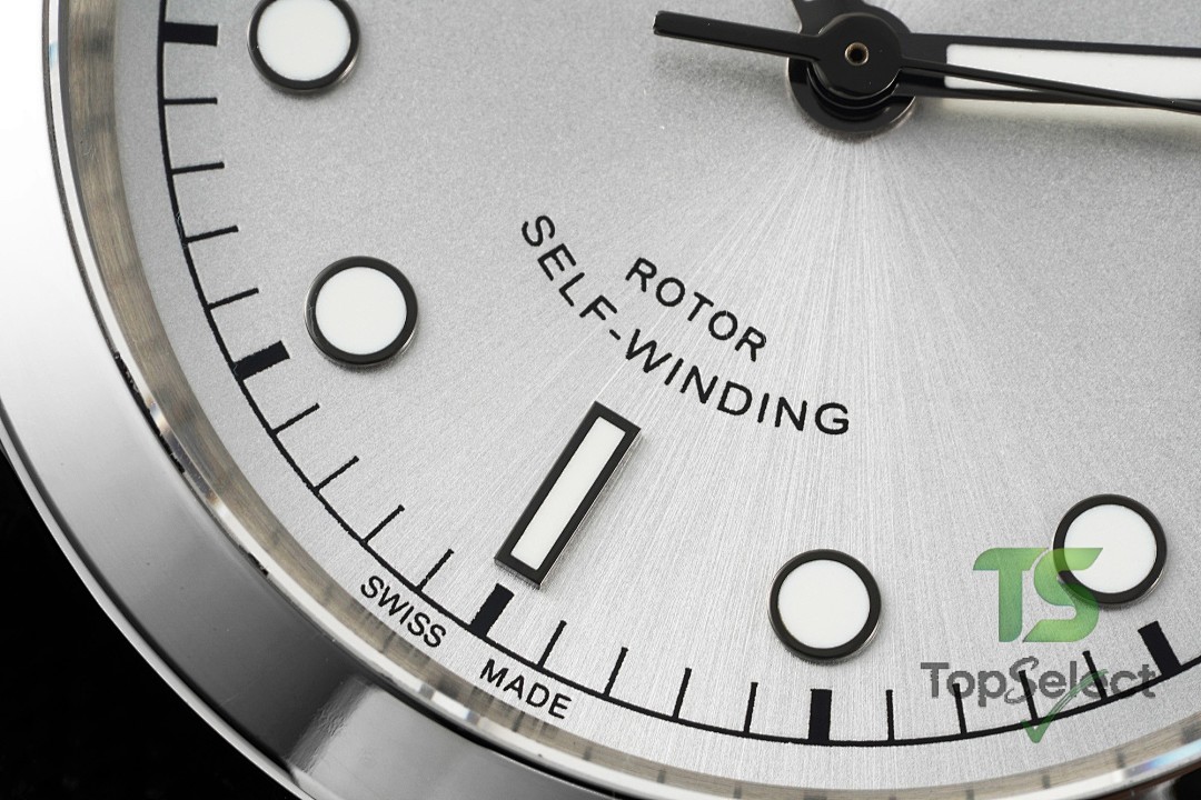 Tudor Black Bay 41 M79540 Silver Dial - 2