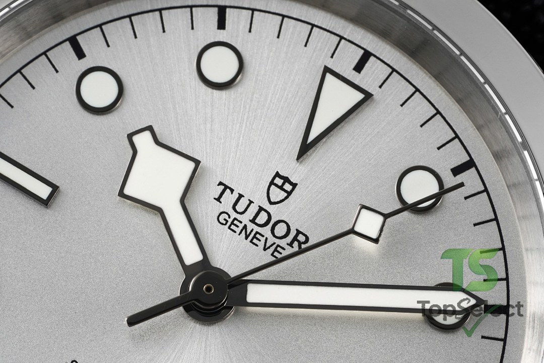 Tudor Black Bay 41 M79540 Silver Dial - 3