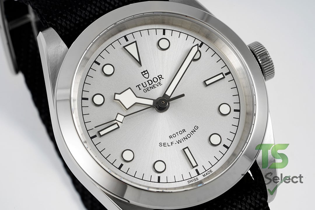 Tudor Black Bay 41 M79540 Silver Dial - 5