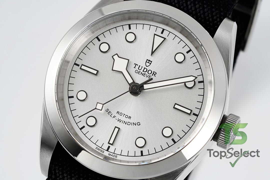 Tudor Black Bay 41 M79540 Silver Dial - 9