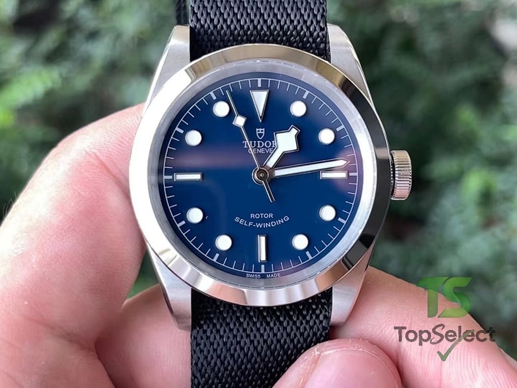 Tudor Black Bay 41 M79540 - 5