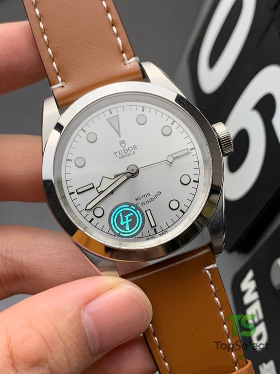 Tudor Black Bay 41 Silver Dial Brown Leather Strap - 3