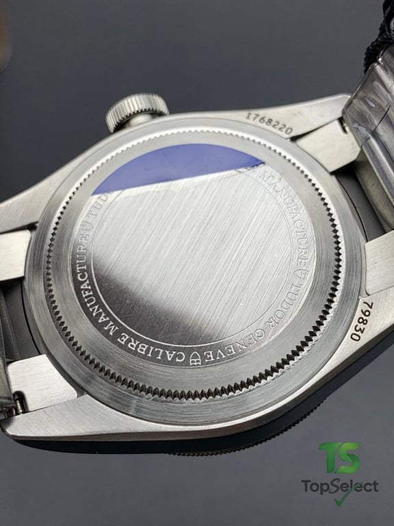 Tudor Black Bay GMT Pepsi Bezel - 3
