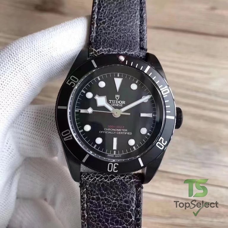 Tudor Black Bay & Pelagos Watches - 2