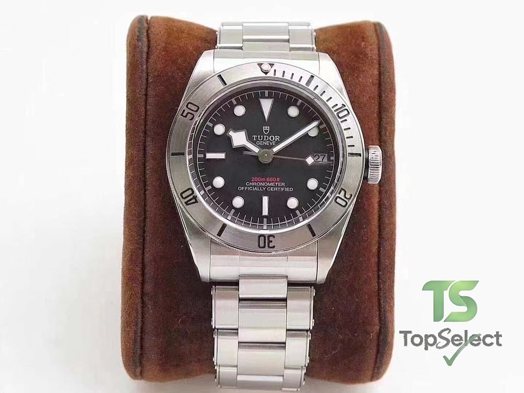 Tudor Black Bay & Pelagos Watches - 3