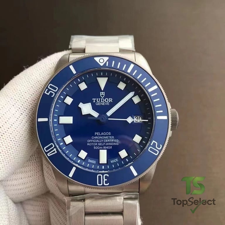 Tudor Black Bay & Pelagos Watches - 4