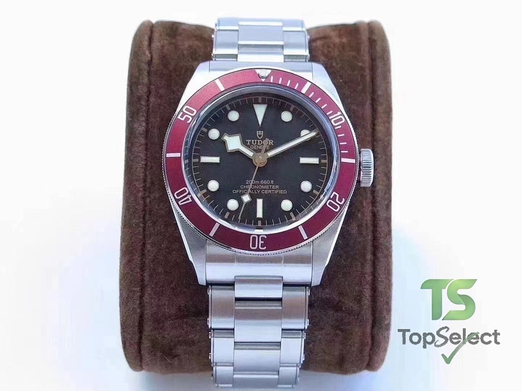 Tudor Black Bay & Pelagos Watches - 5