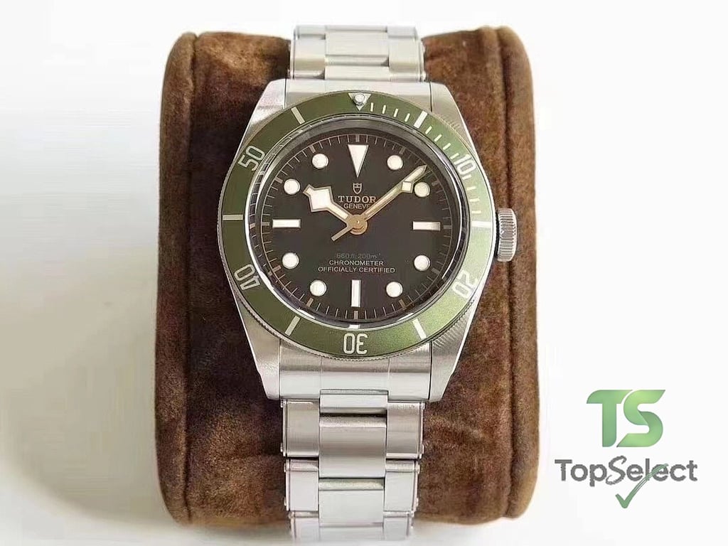 Tudor Black Bay & Pelagos Watches - 7