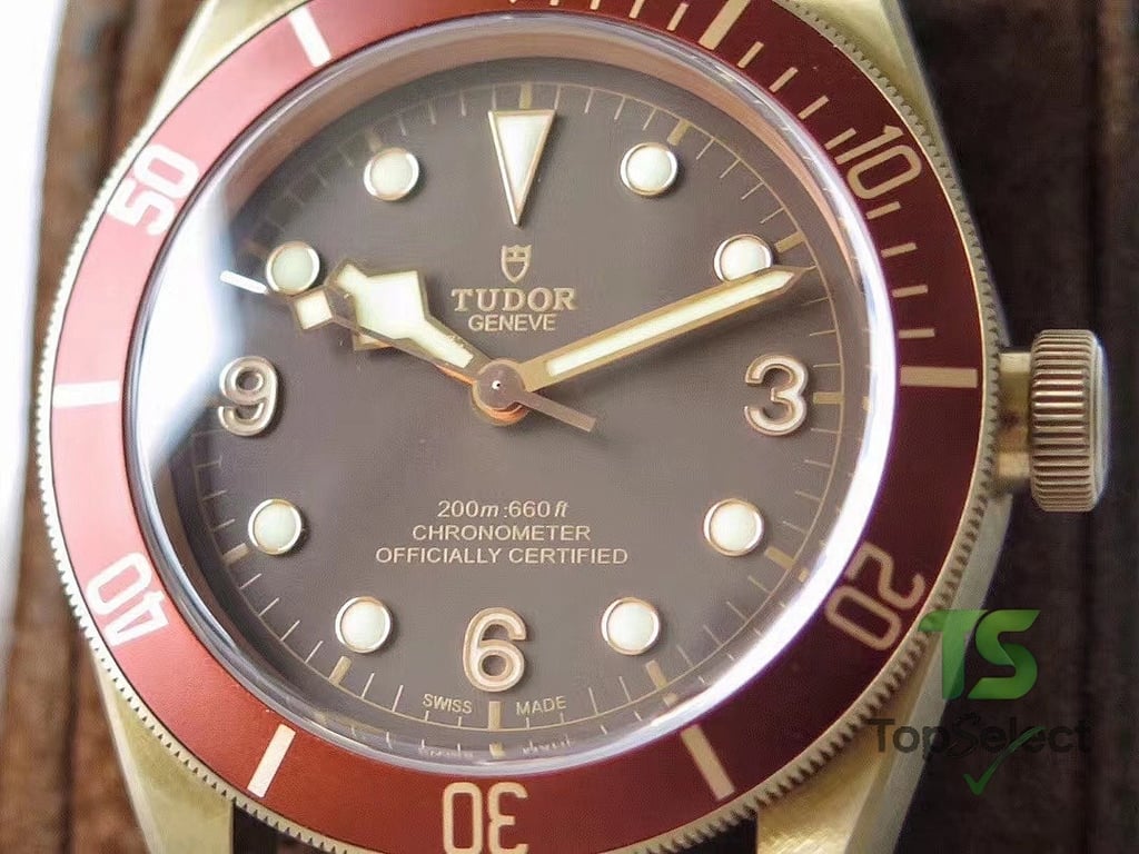 Tudor Black Bay Bronze Brown Dial - 6
