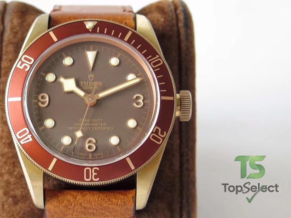 Tudor Black Bay Bronze Brown Dial - 9