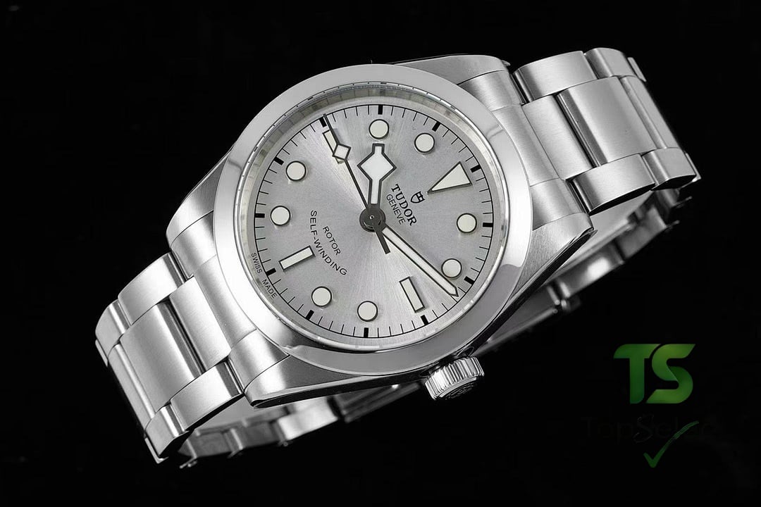 Tudor Black Bay 79500 Silver Dial - 6