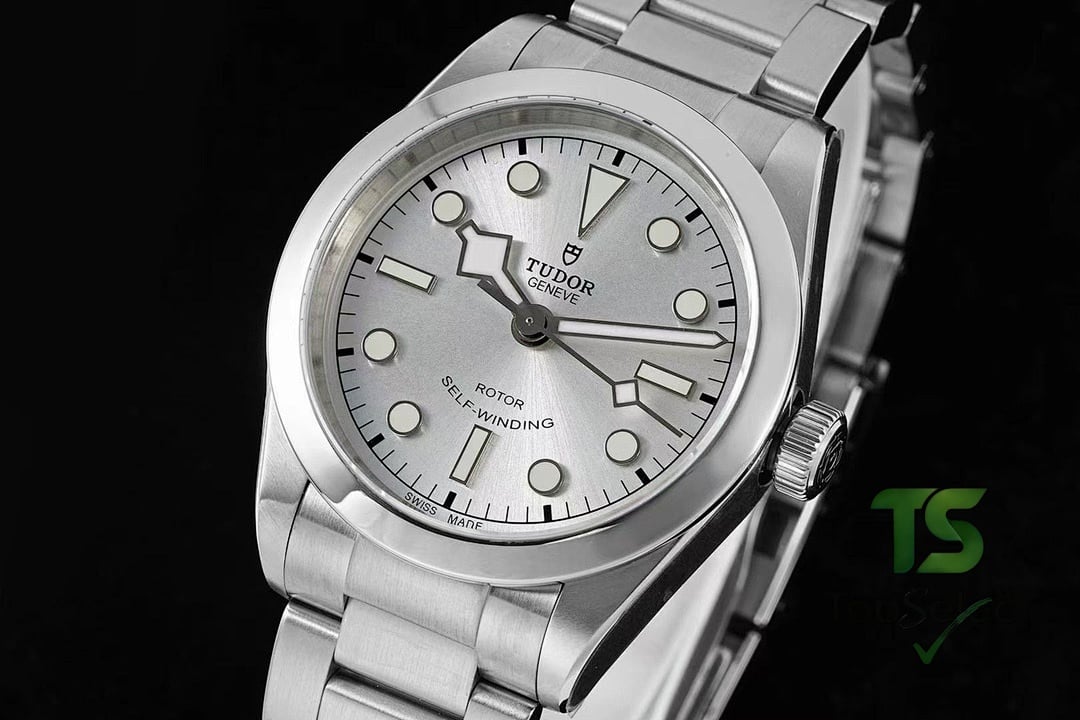 Tudor Black Bay 79500 Silver Dial - 7