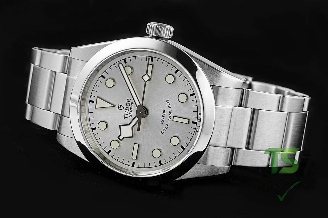 Tudor Black Bay 79500 Silver Dial - 8