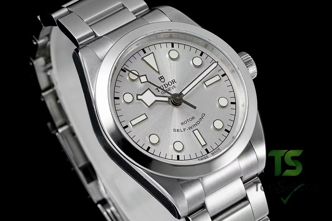 Tudor Black Bay 79500 Silver Dial - 9