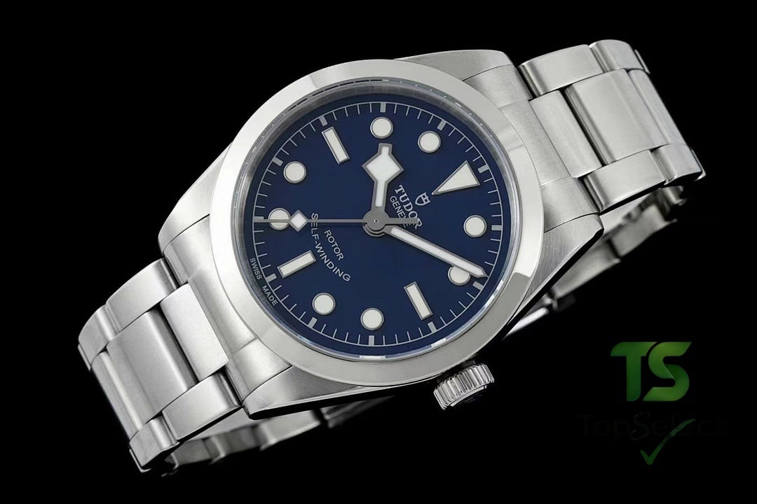 Tudor Black Bay 79500 Blue Dial - 3