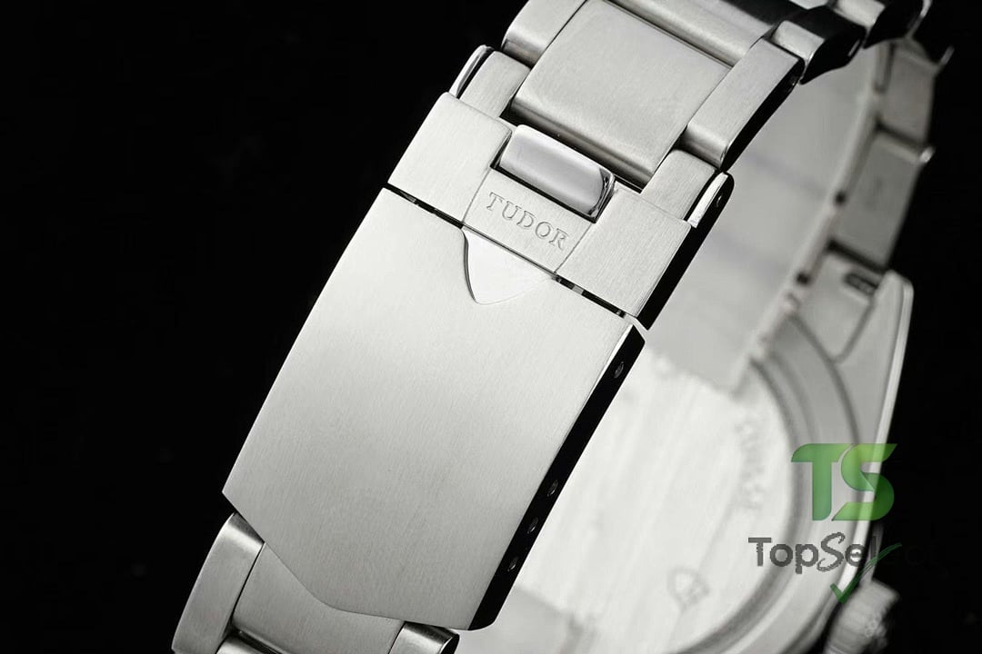 Tudor Black Bay 79500 Blue Dial - 6