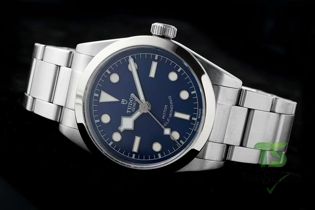 Tudor Black Bay 79500 Blue Dial - 7