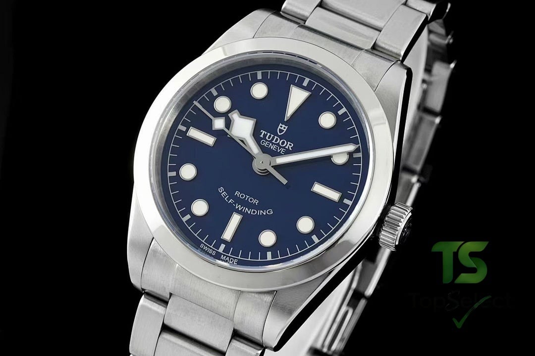 Tudor Black Bay 79500 Blue Dial - 8