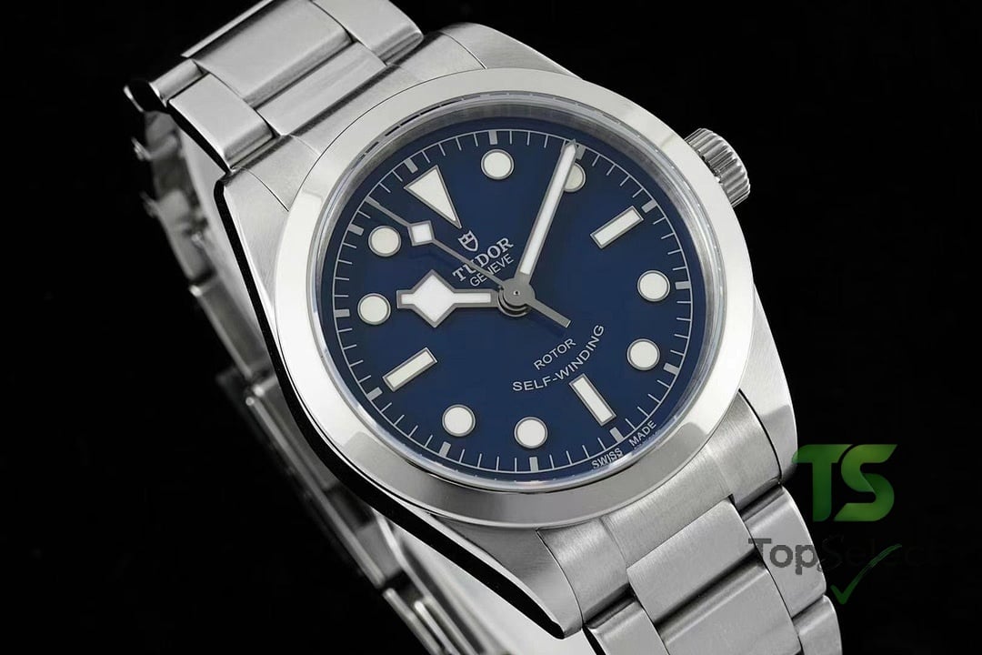 Tudor Black Bay 79500 Blue Dial - 9