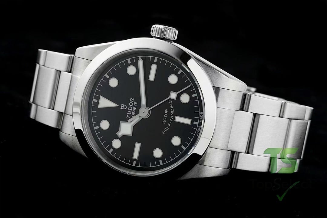 Tudor Black Bay 79500 Black Dial - 7
