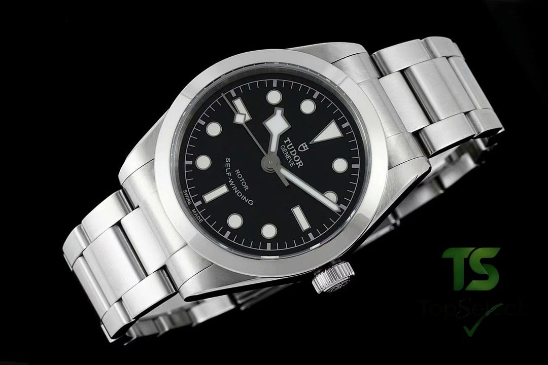 Tudor Black Bay 79500 Black Dial - 9